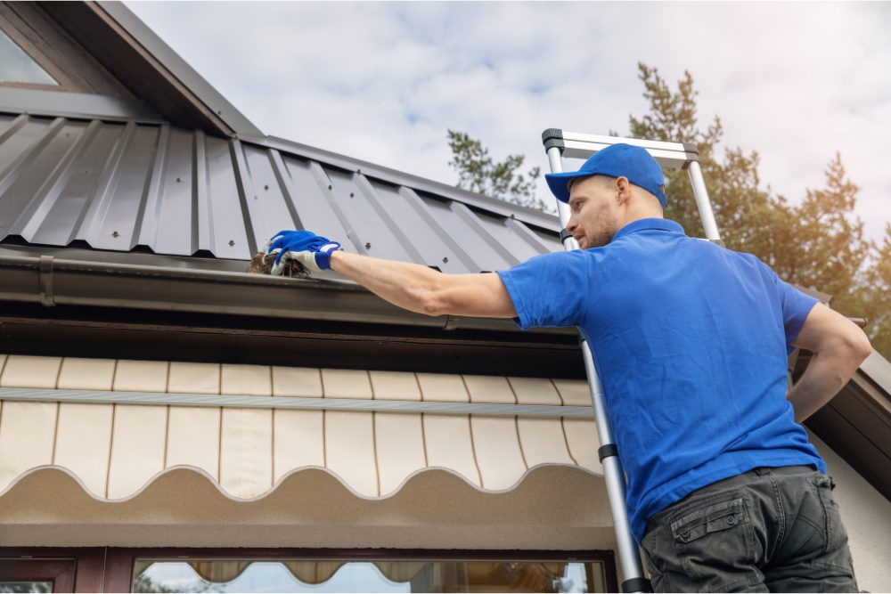 gutter cleaning 1
