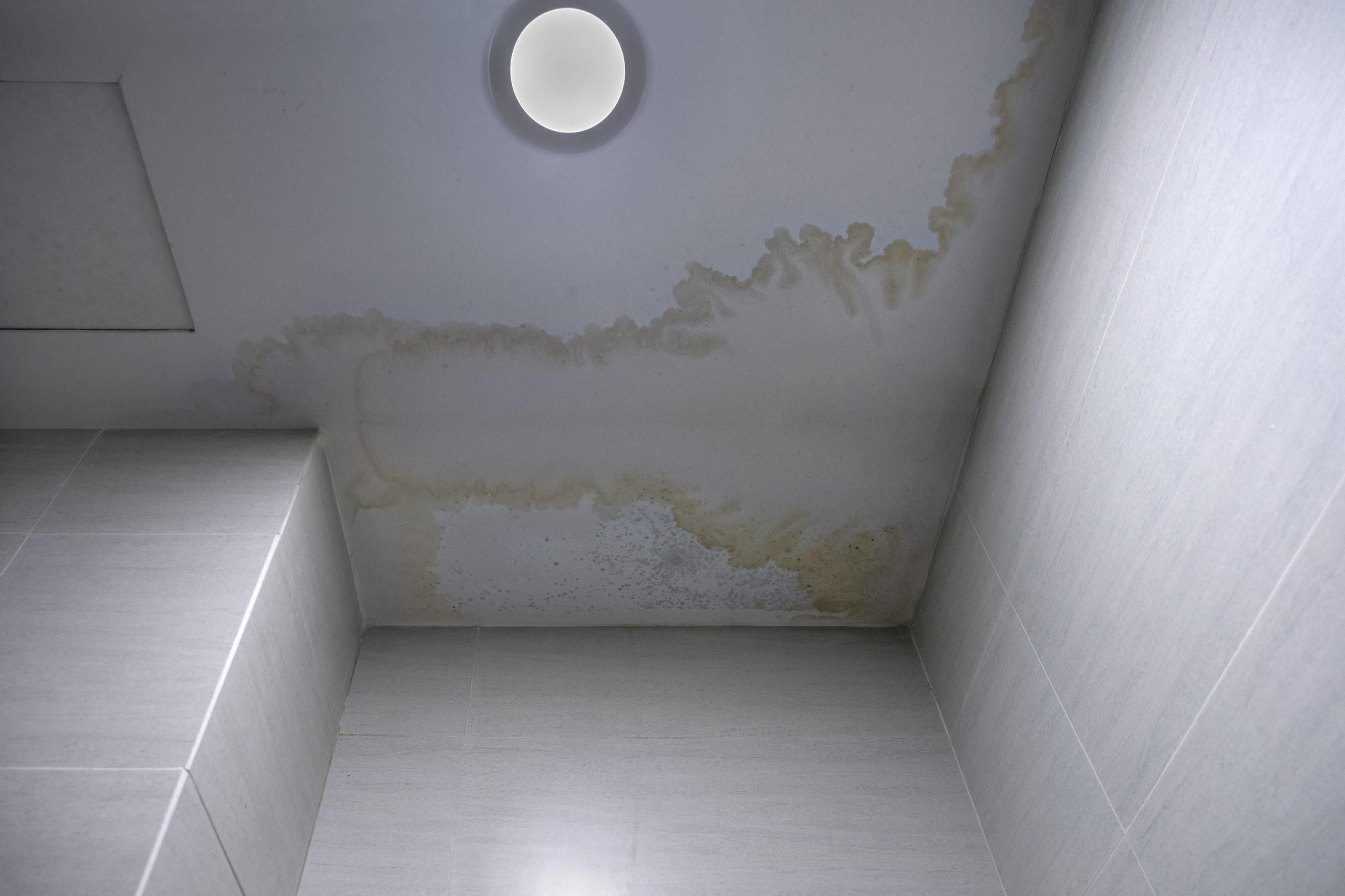 mildew stains at ceiling 2022 11 01 04 34 38 utc scaled