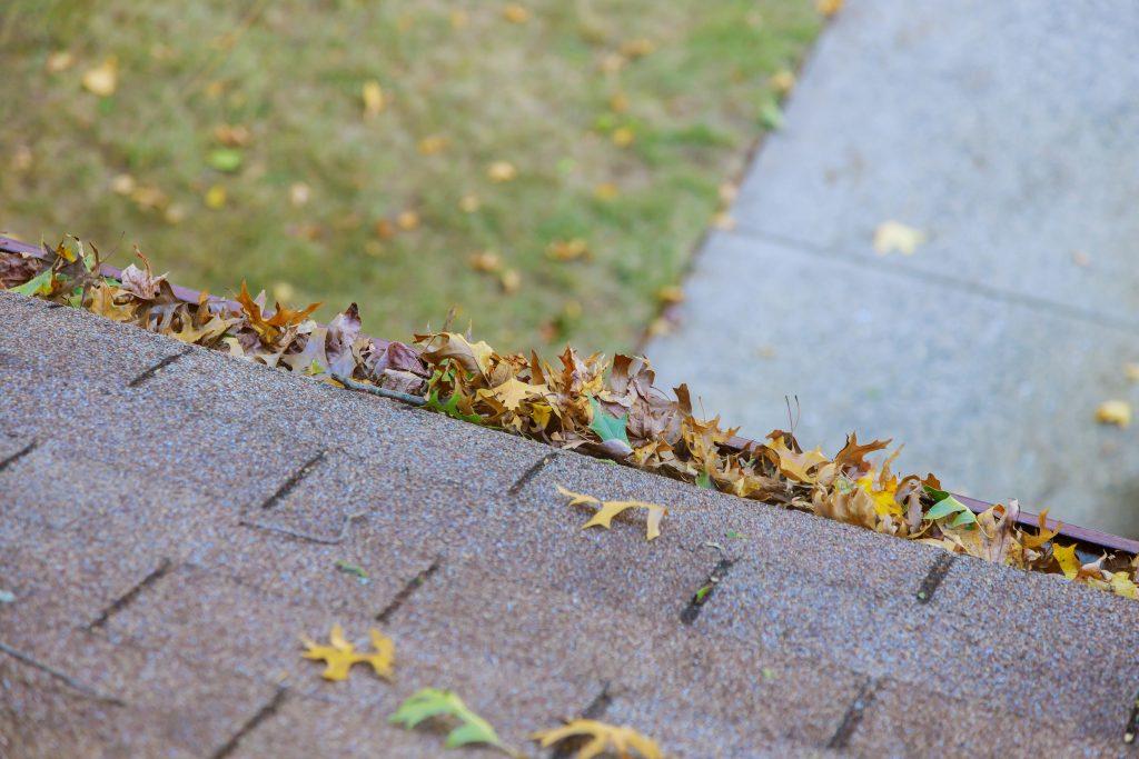 dirty roof with gutter with leaves requiring clean 2023 11 27 05 05 15 utc